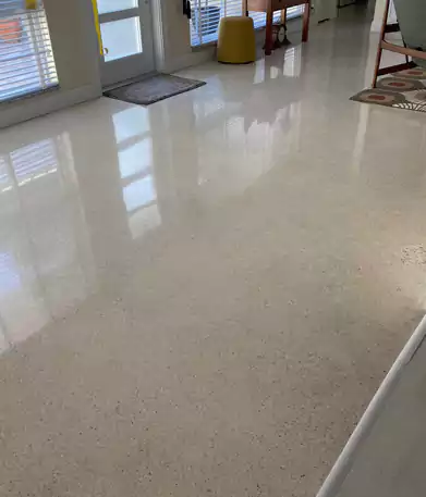 Terrazzo Care Cleaning